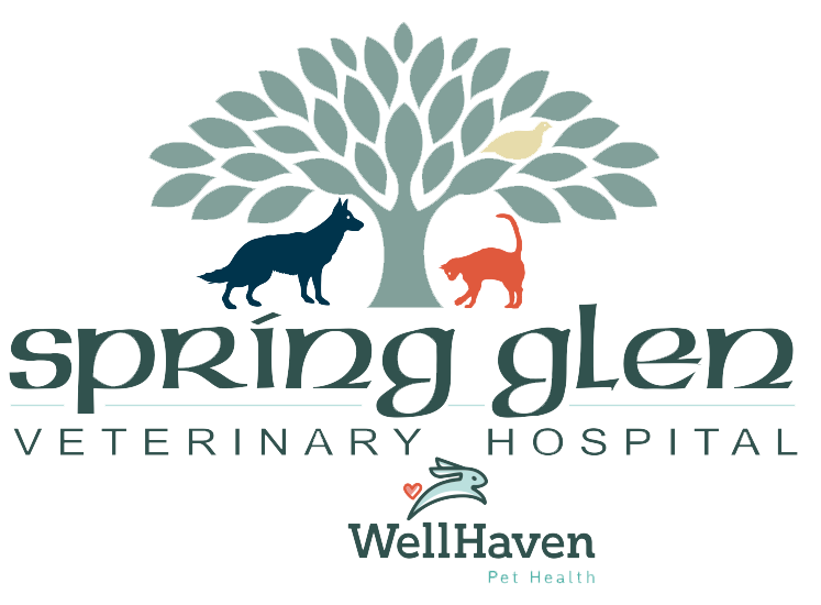 Spring Glen Veterinary Hospital
